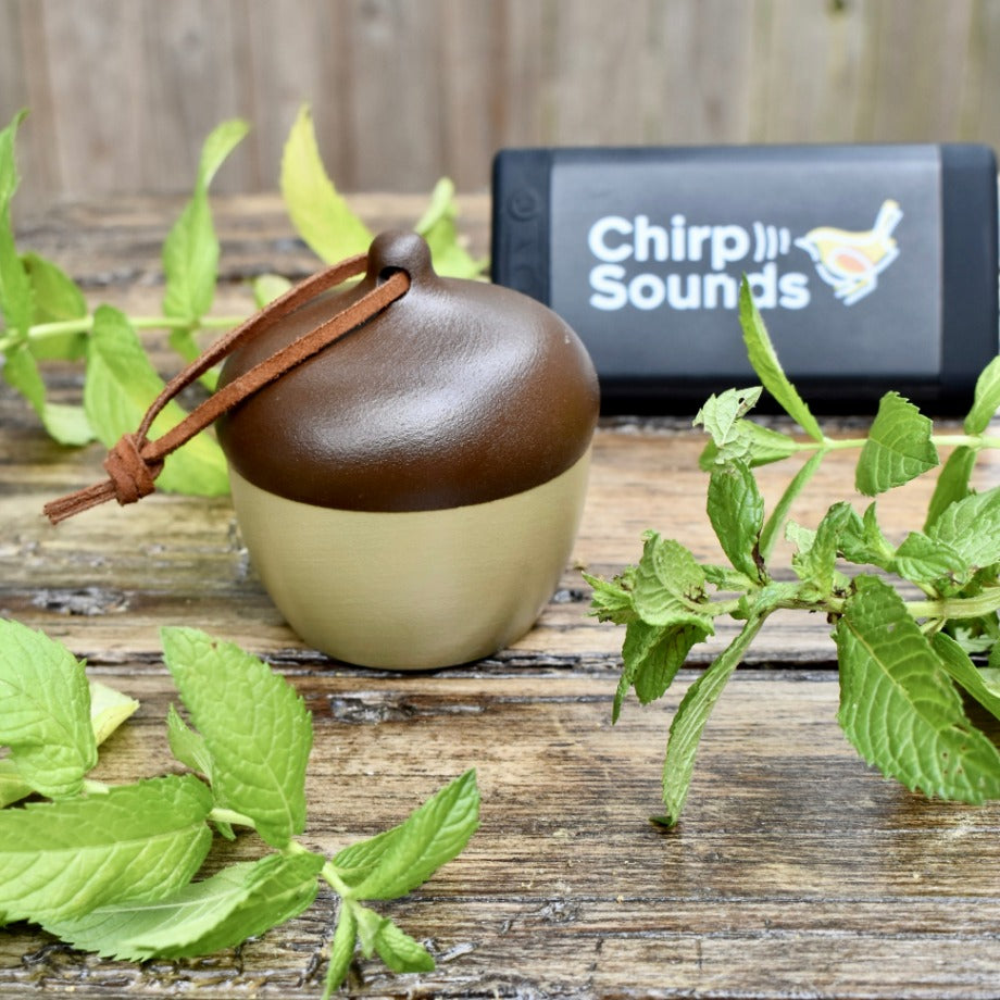 ChirpSounds System (Complete)