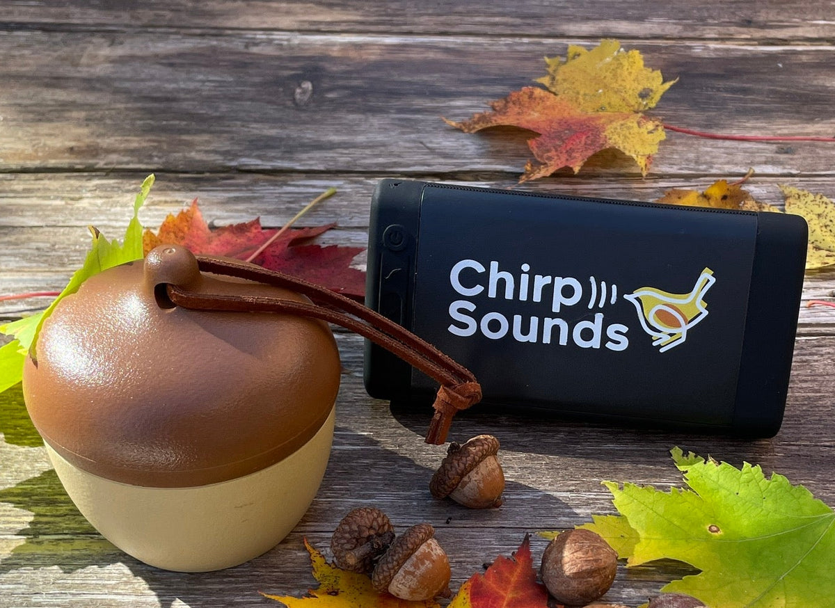 ChirpSounds System (Complete)