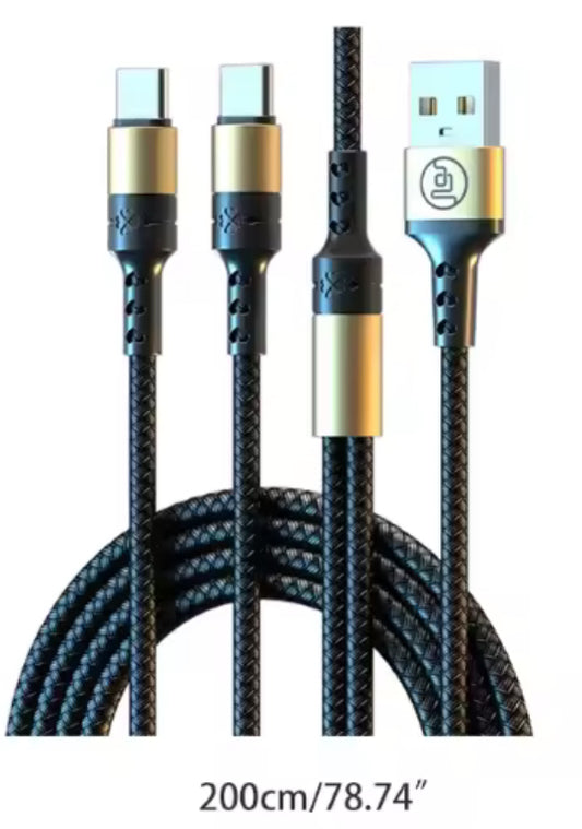 6' Extended USB C Cable - DUAL for Charging Acorn AND Speaker