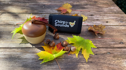 ChirpSounds System (Complete)