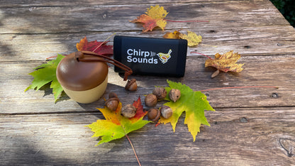 ChirpSounds Transmitter