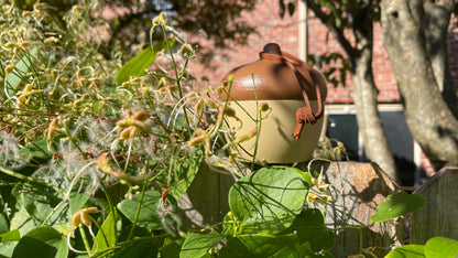 ChirpSounds System (Complete)