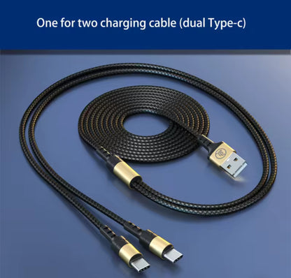 6' Extended USB C Cable - DUAL for Charging Acorn AND Speaker