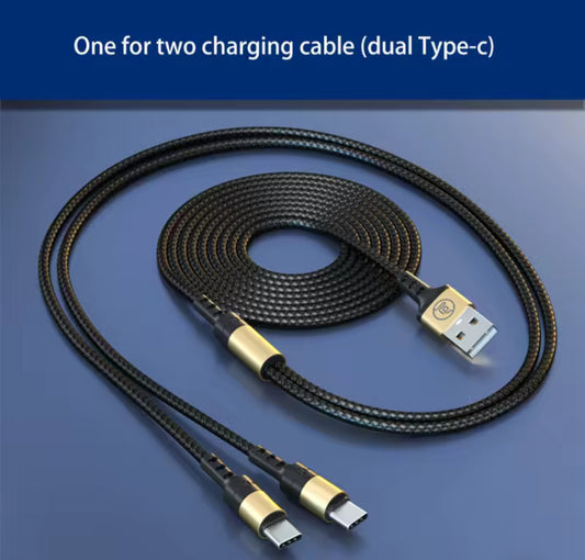 6' Extended USB C Cable - DUAL for Charging Acorn AND Speaker