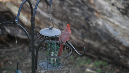 ChirpSounds System (Complete)